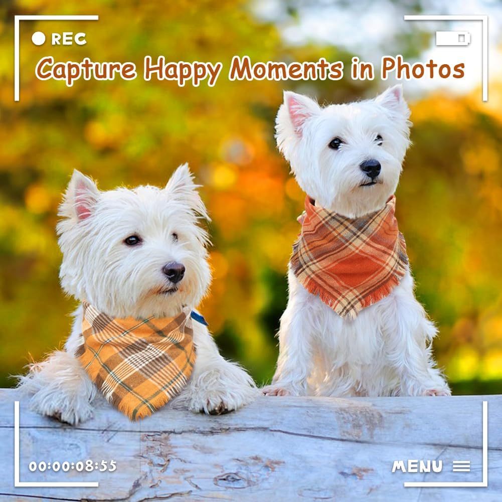 Happy Paws - Dog  Plaid Bandana Scarf