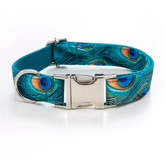 Peacock collar, dog collar 