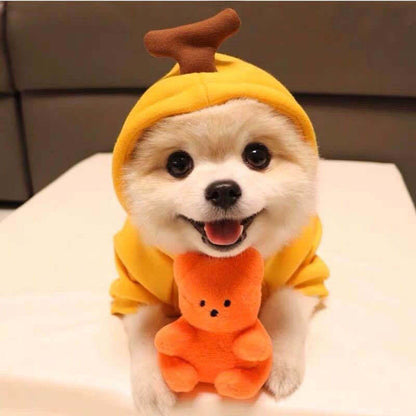 Happy Paws - Cute Dog Hoodies