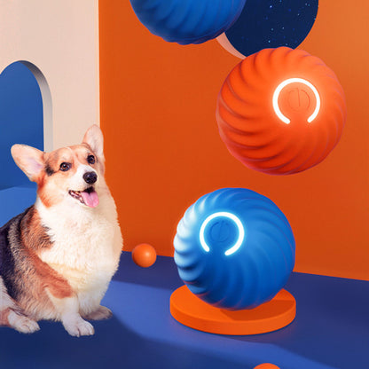 Happy Paws - Rolling Gravity Ball