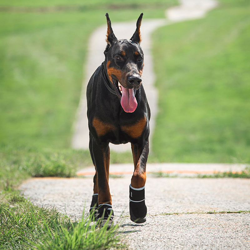 Happy Paws - Upstream Shoes Outdoor Anti-drop