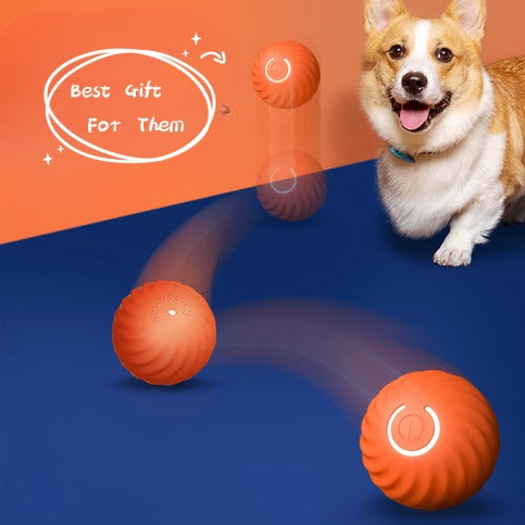 Happy Paws - Rolling Gravity Ball