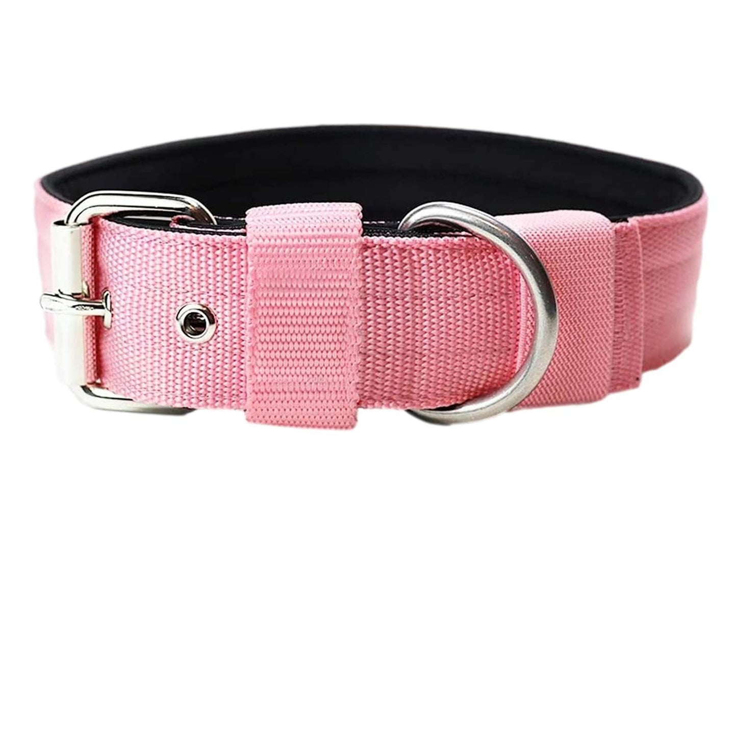 Happy Paws - Polyester Collar