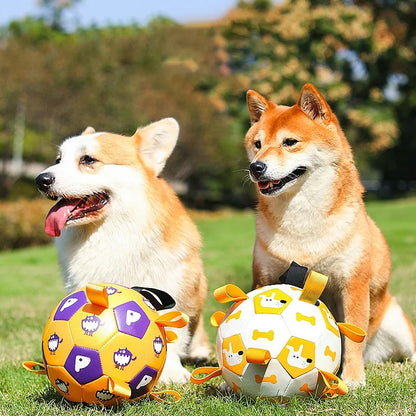 Happy Paws - Dog Soccer Ball