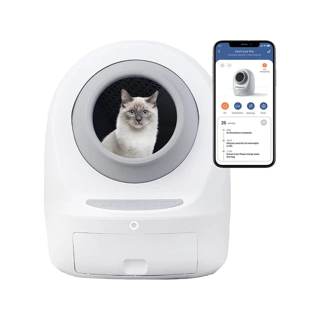 Cat litter smart box