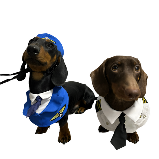 Happy Paws- Dachshund Dog Funny Clothes Halloween Suit