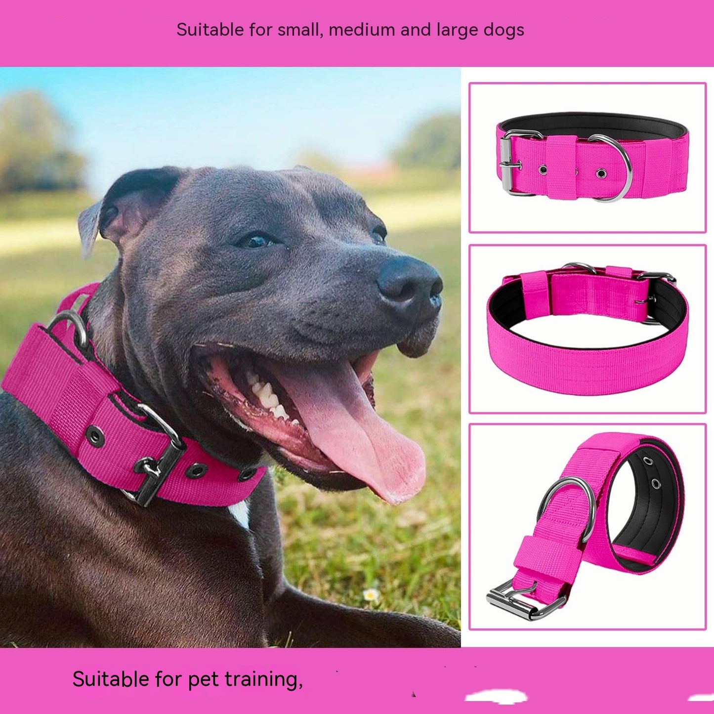 Happy Paws - Polyester Collar