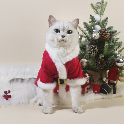 Happy Paws - Santa Winter Costume Clothes