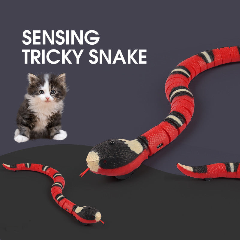 Happy Paws - Sensing Snake Toy