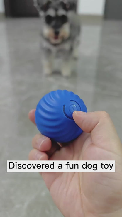 Happy Paws - Rolling Gravity Ball